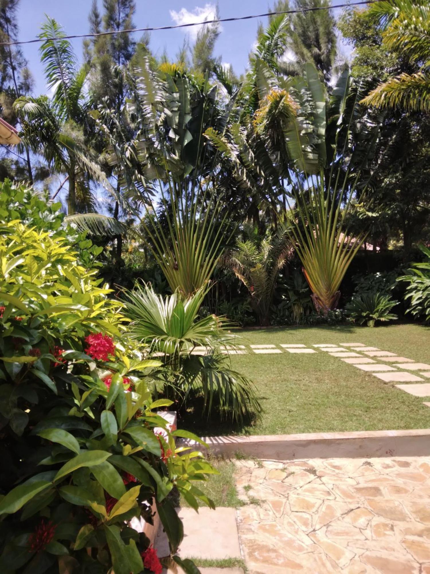 מושי Sprunger Avenue - Tulia Homes מראה חיצוני תמונה