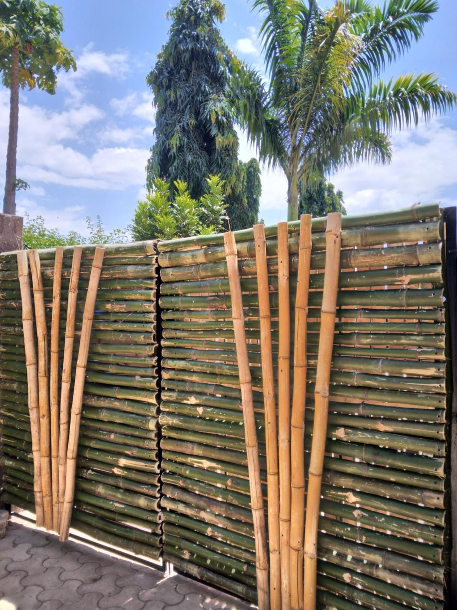 מושי Sprunger Avenue - Tulia Homes מראה חיצוני תמונה